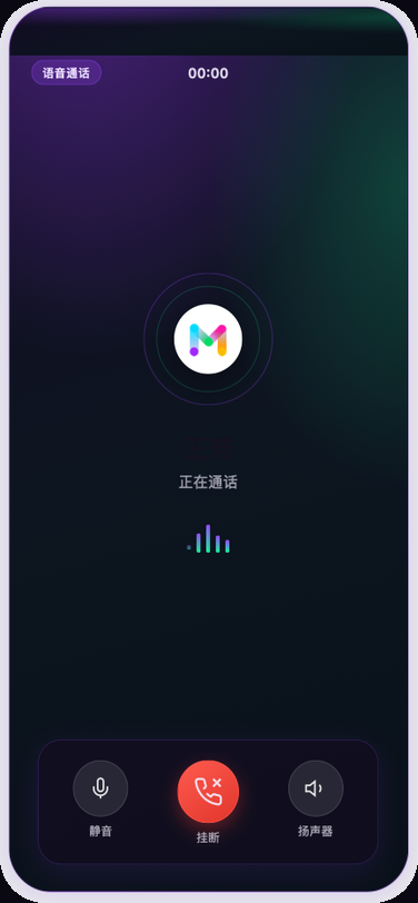 语音通话
